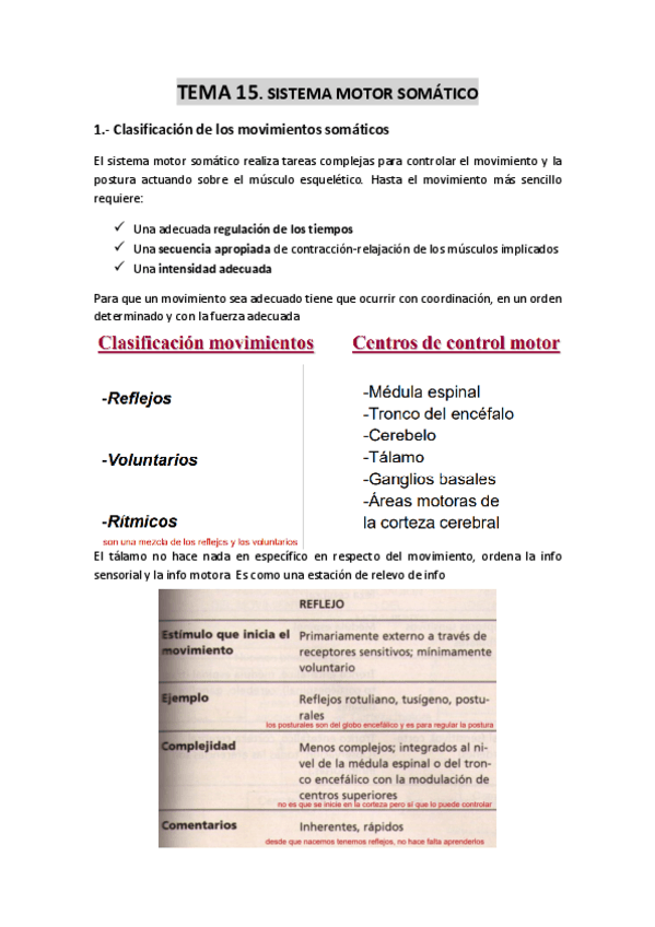 Miniatura del documento TEMA-15-Sistema-motor-somatico.pdf
