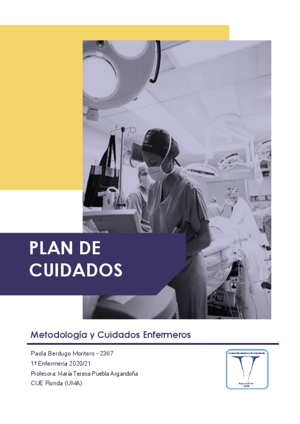Miniatura del documento 2367-Paola-PLAN-DE-CUIDADOS.pdf