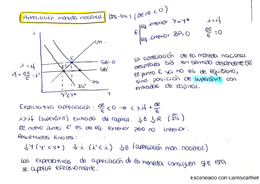 Miniatura del documento APRECIACIÓN MONEDA NACIONAL.pdf