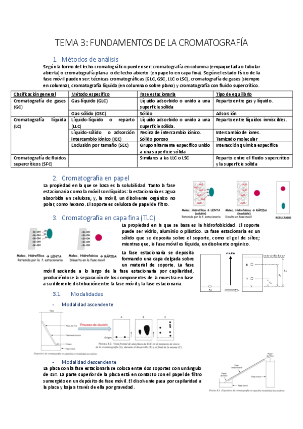 Miniatura del documento tast3.pdf
