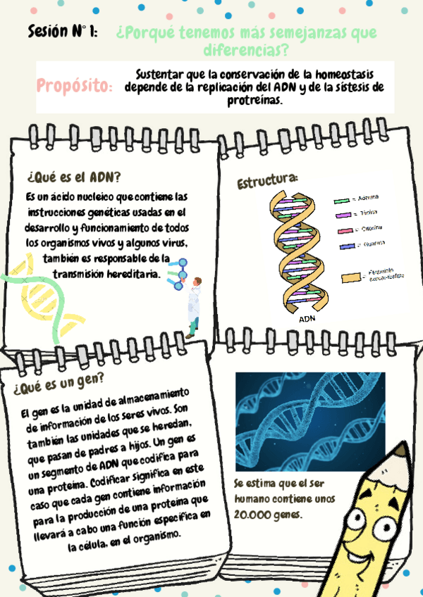 Miniatura del documento El-ADN.pdf