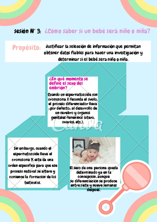Miniatura del documento Inseminacion-intrauterina.pdf