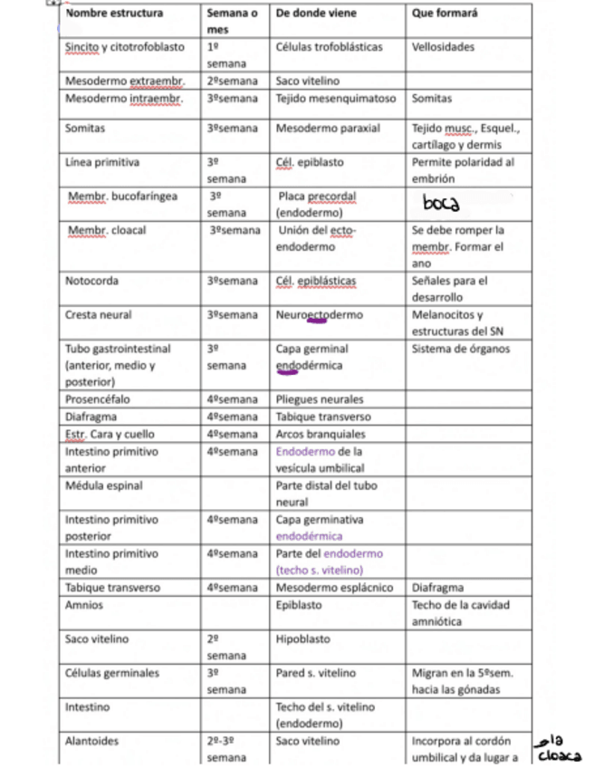 Miniatura del documento Tabla_orígenes_embriología.pdf