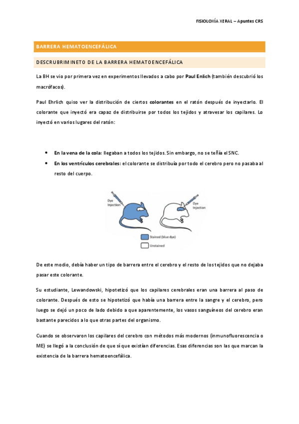 Miniatura del documento BARRERA-HEMATOENCEFALICA_Zalvide.pdf