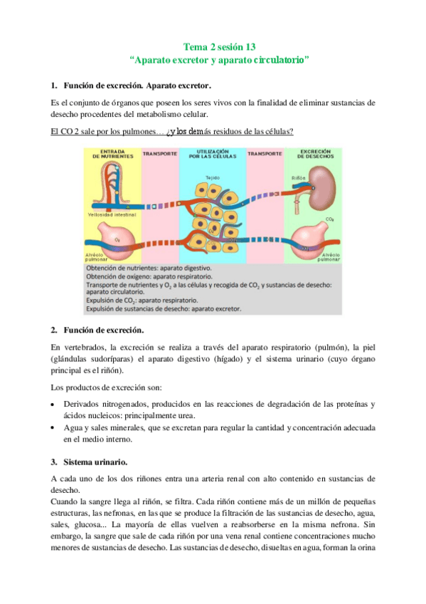 Miniatura del documento Tema-2-sesion-13.pdf