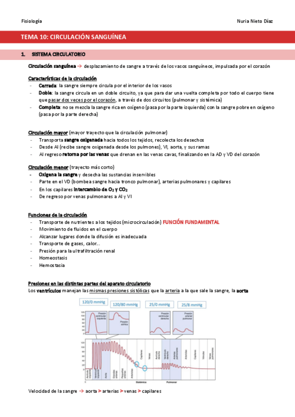 Miniatura del documento TEMA-10-Circulacion-sanguinea.pdf