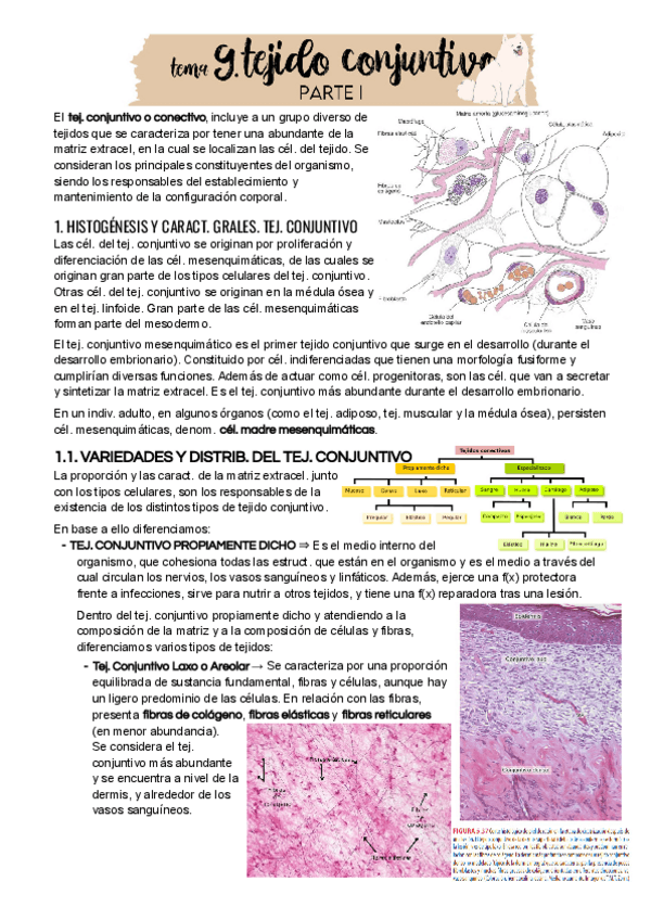 Miniatura del documento Tema 9 - Parte I.pdf