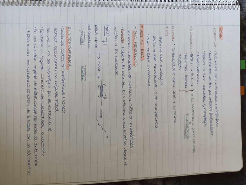 Miniatura del documento IMG20220410193233.jpg