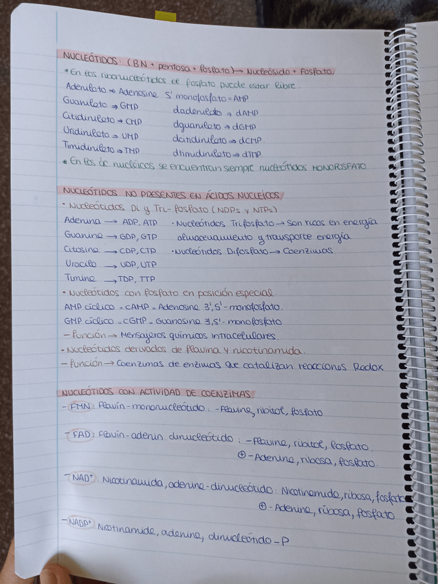 Miniatura del documento IMG20220410193209.jpg