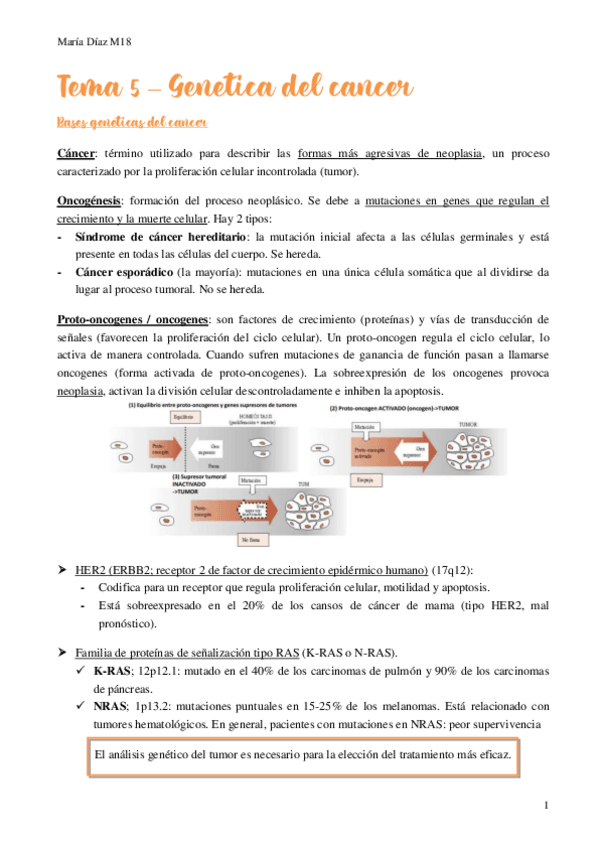 Miniatura del documento t5.pdf