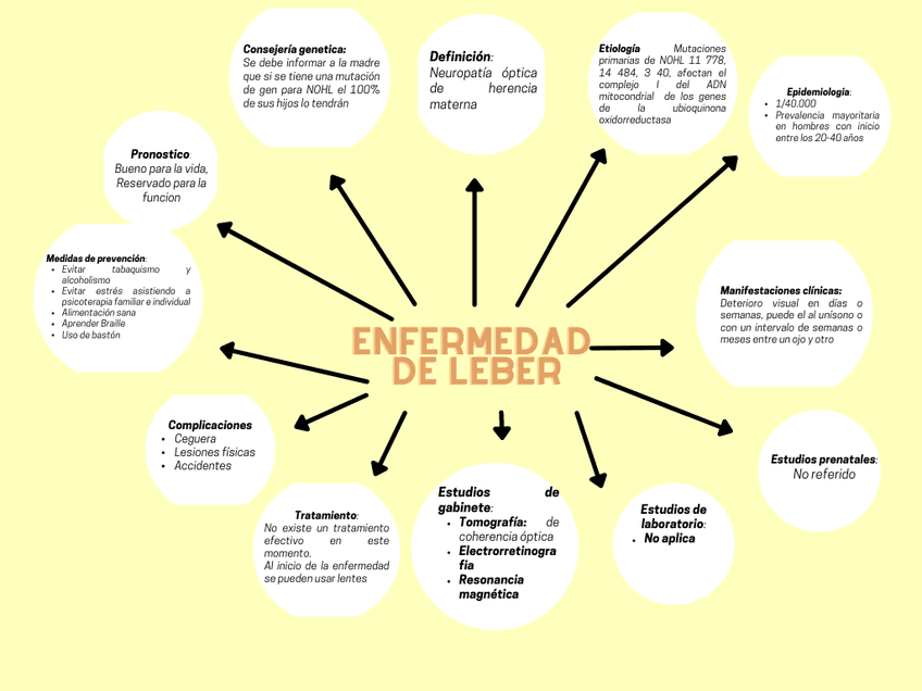 Miniatura del documento Enfermedad-de-Leber.png