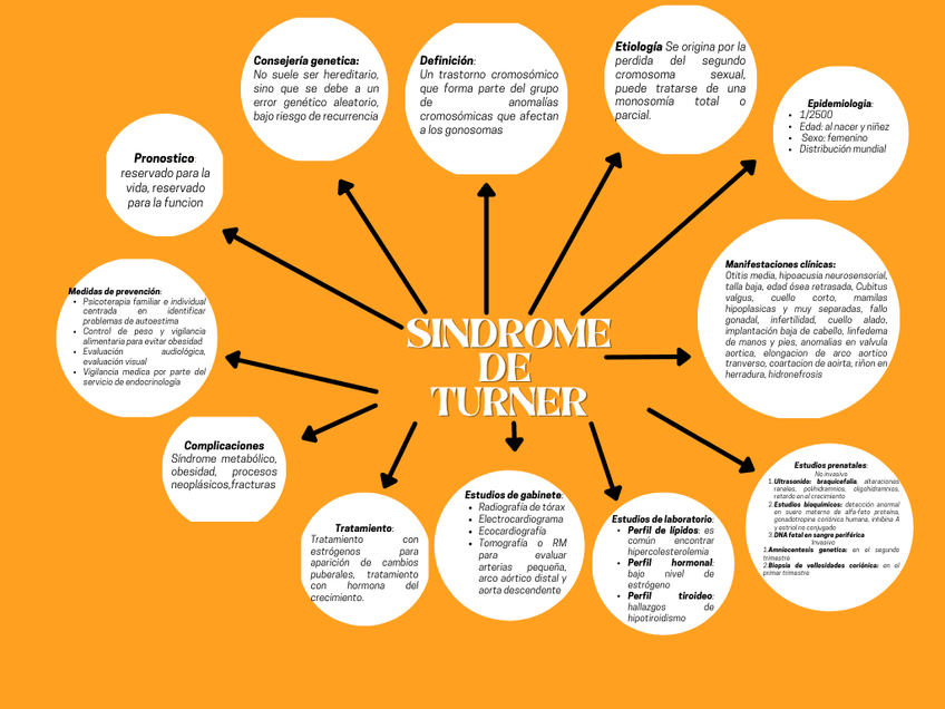 Miniatura del documento Sindrome-de-turner.png