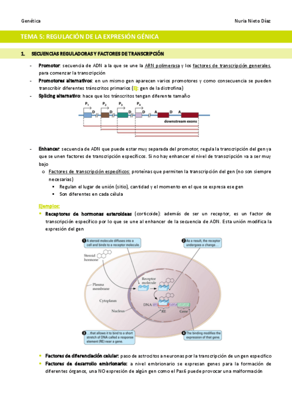 Miniatura del documento TEMA-5-Regulacion-de-la-expresion-genica.pdf