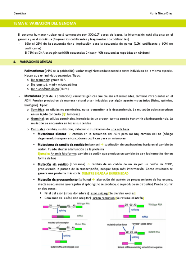 Miniatura del documento TEMA-6-Variacion-del-genoma.pdf
