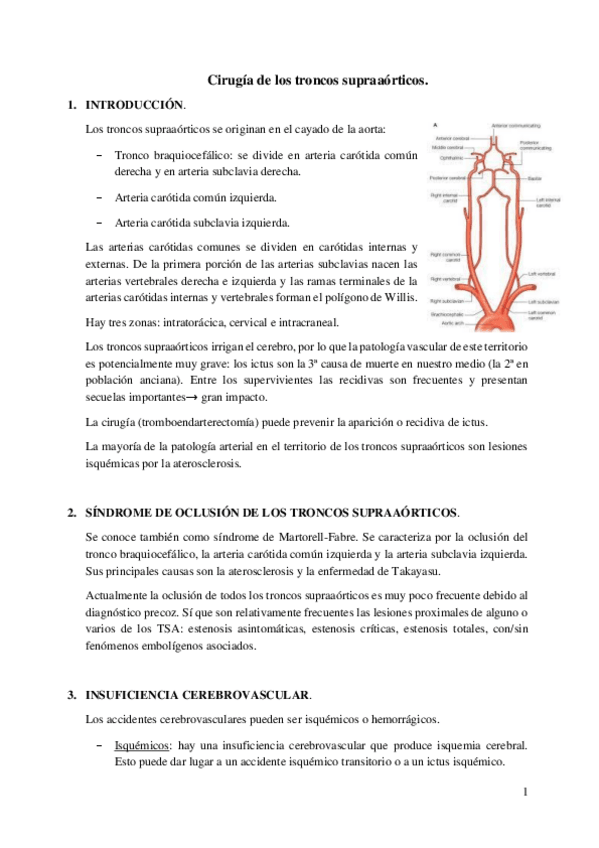 Miniatura del documento 38.Cirugía de los troncos supraaórticos