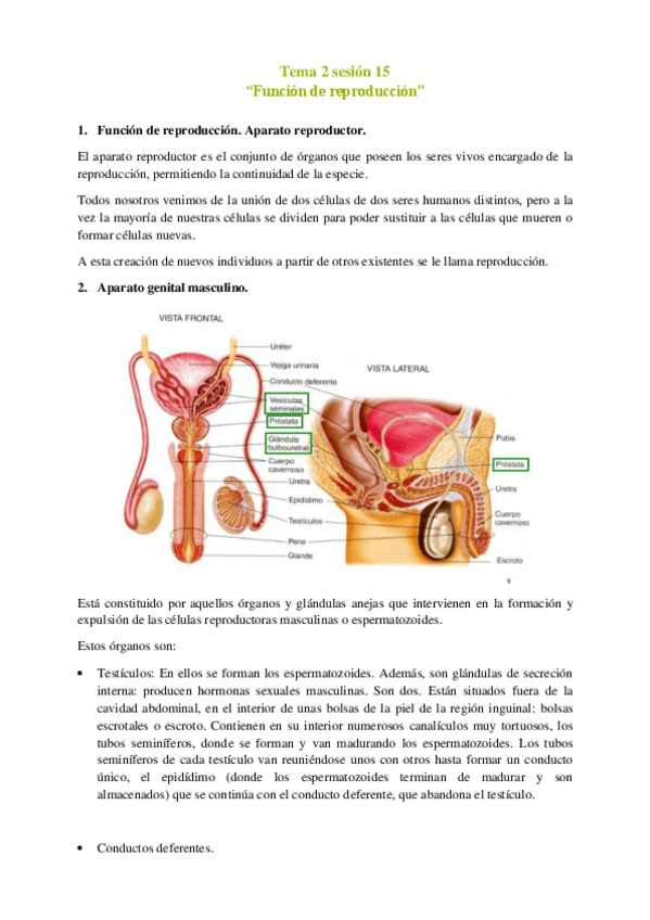 Miniatura del documento Tema-2-sesion-15.pdf