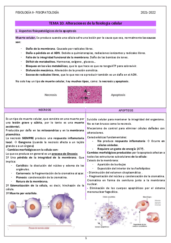 Miniatura del documento FISIOLOGIA-II-FISIOPATOLOGIA.pdf