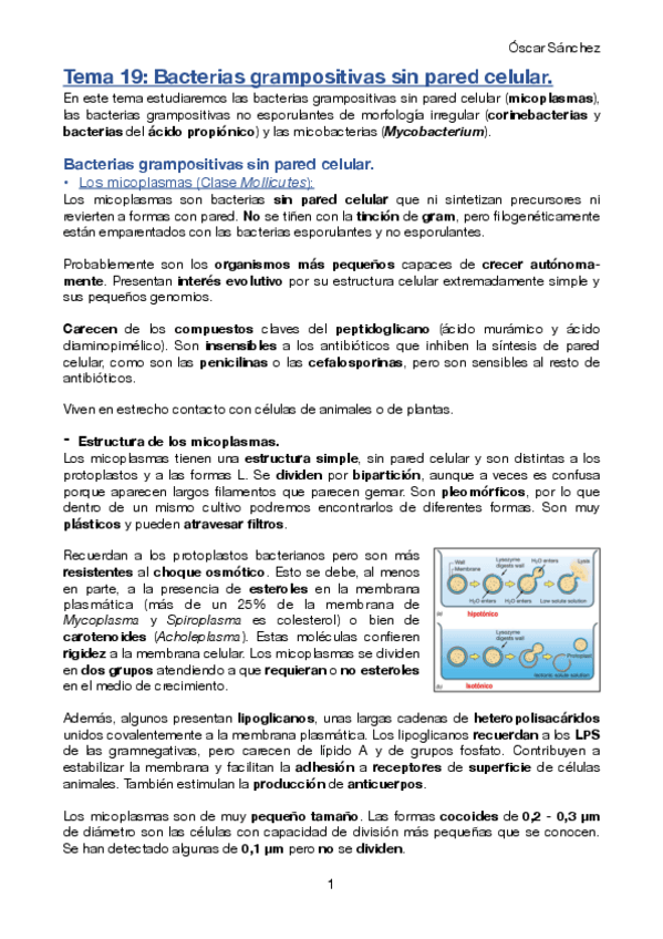 Miniatura del documento Tema-19-Micro-II.pdf