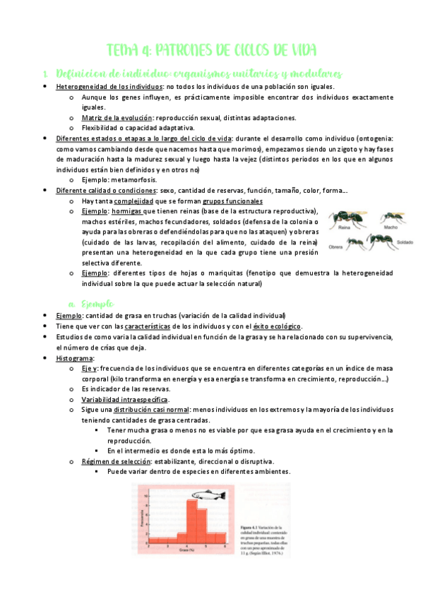Miniatura del documento TEMA-4-PATRONES-DE-CICLOS-DE-VIDA.pdf