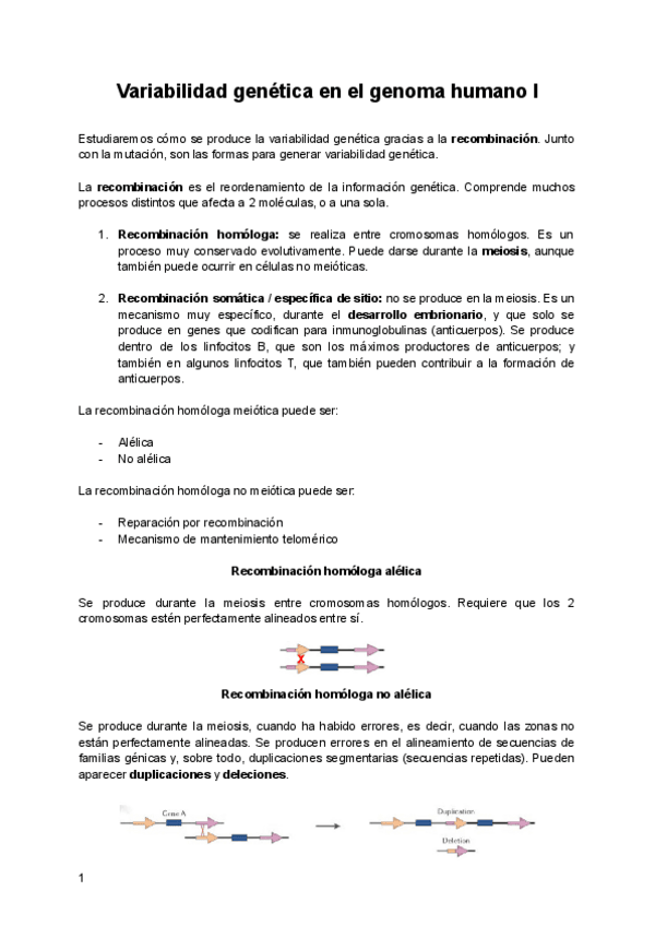 Miniatura del documento Tema-2-Recombinacion.pdf