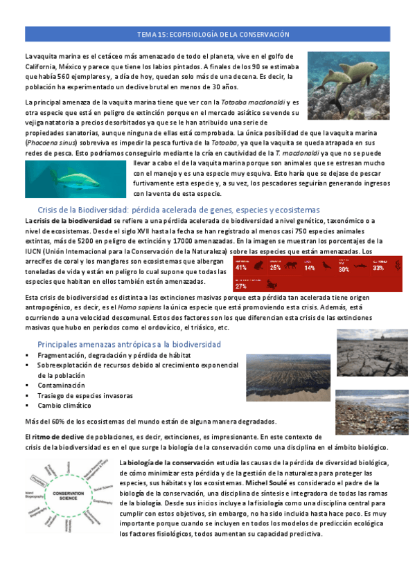 Miniatura del documento tema-15.pdf