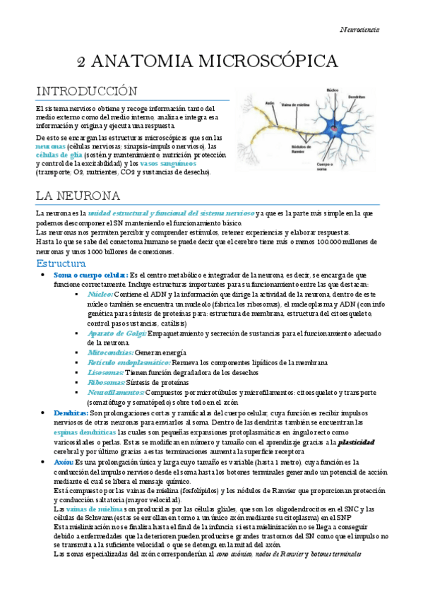 Miniatura del documento Neurociencia-Tema-2.pdf