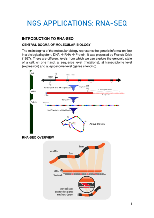 Miniatura del documento TEMA-5.pdf