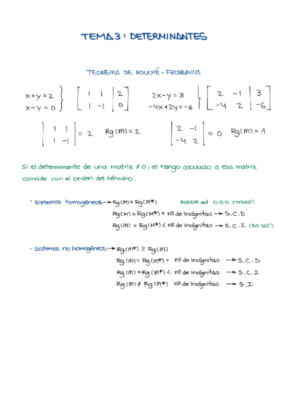 Miniatura del documento Tema-3-Determinantes.pdf