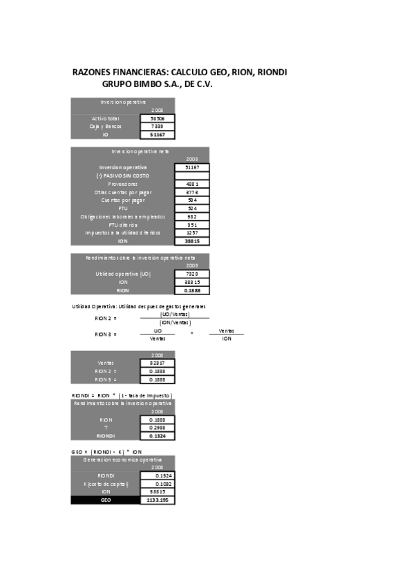 Miniatura del documento RAZONES-FINACIERAS-GEO-RION-RIONDI.pdf