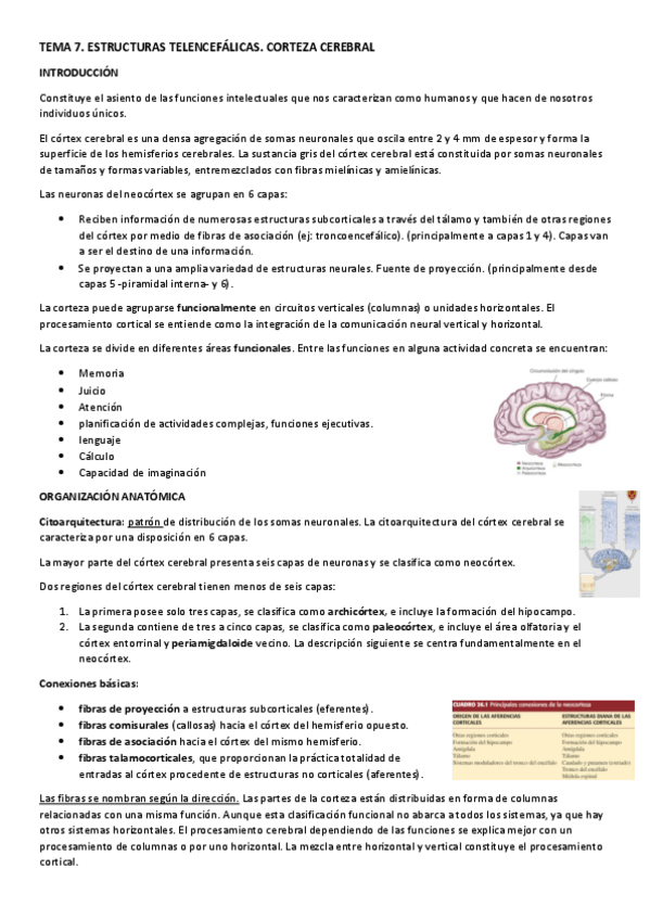 Miniatura del documento apuntes-psicobiologia-segundo-parcial.pdf
