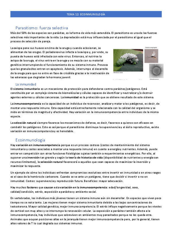 Miniatura del documento tema-12.pdf