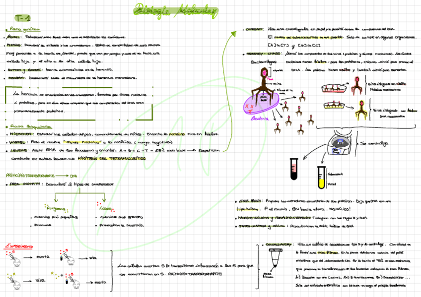 Miniatura del documento Esquema-1r-Parcial.pdf
