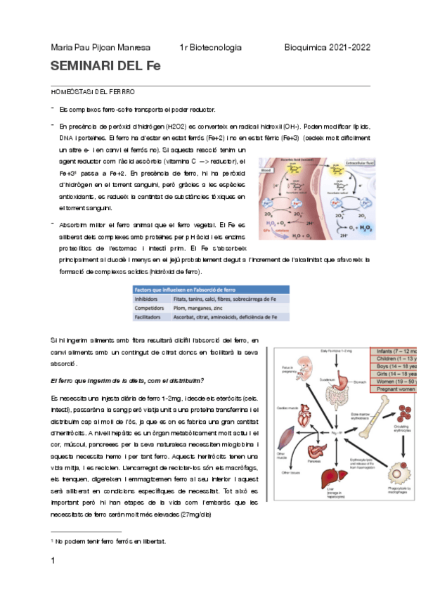 Miniatura del documento Seminari-Ferro.pdf
