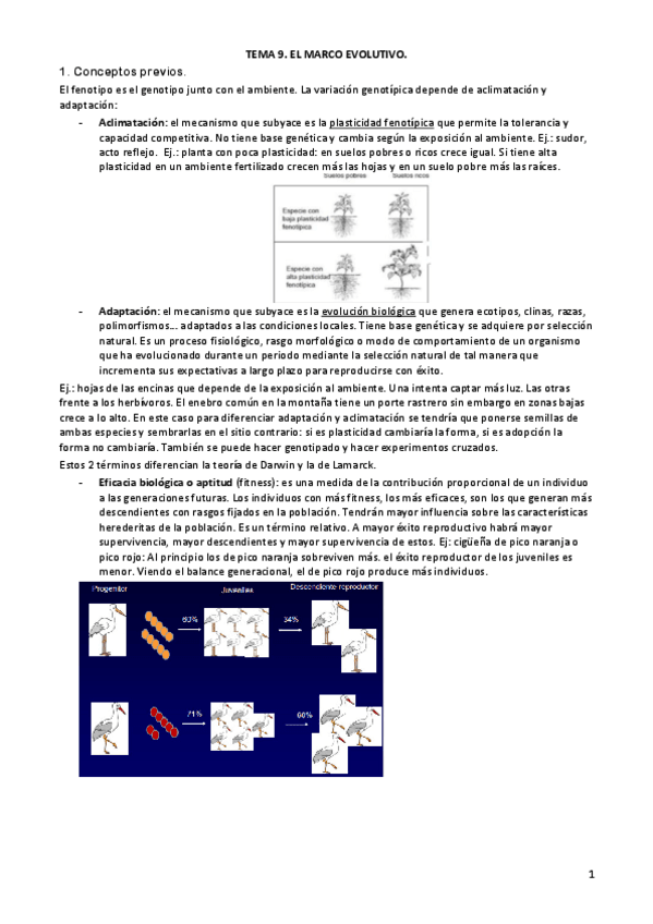 Miniatura del documento TEMA-8.pdf