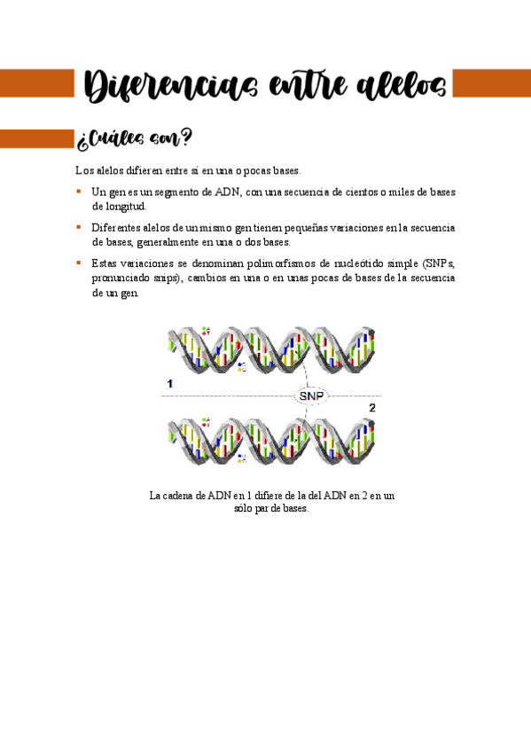 Miniatura del documento diferencias-entre-alelos.pdf