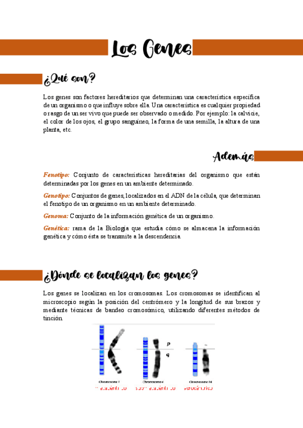 Miniatura del documento Los-Genes.pdf