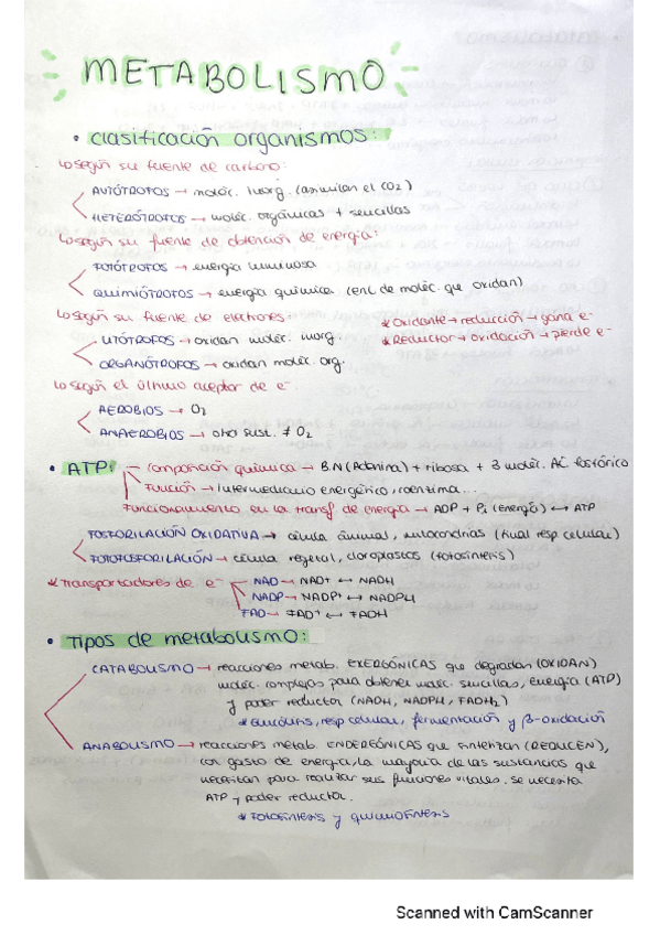Miniatura del documento Resumen-metabolismo.pdf