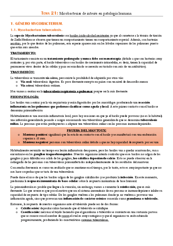 Miniatura del documento TEMA-21.pdf