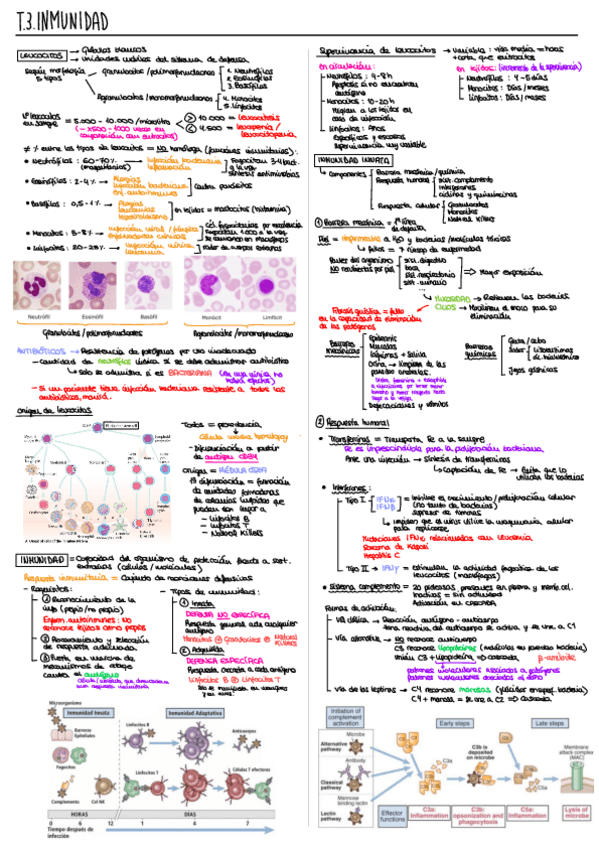 Miniatura del documento T3.pdf