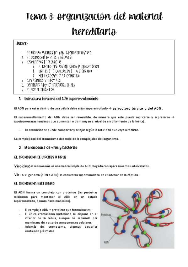 Miniatura del documento tema-8-genetica.pdf