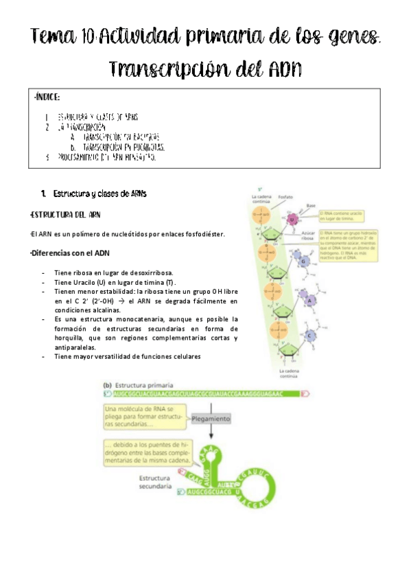 Miniatura del documento tema-10-genetica.pdf