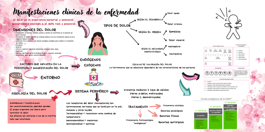 Miniatura del documento PATO-TEMA-3.pdf