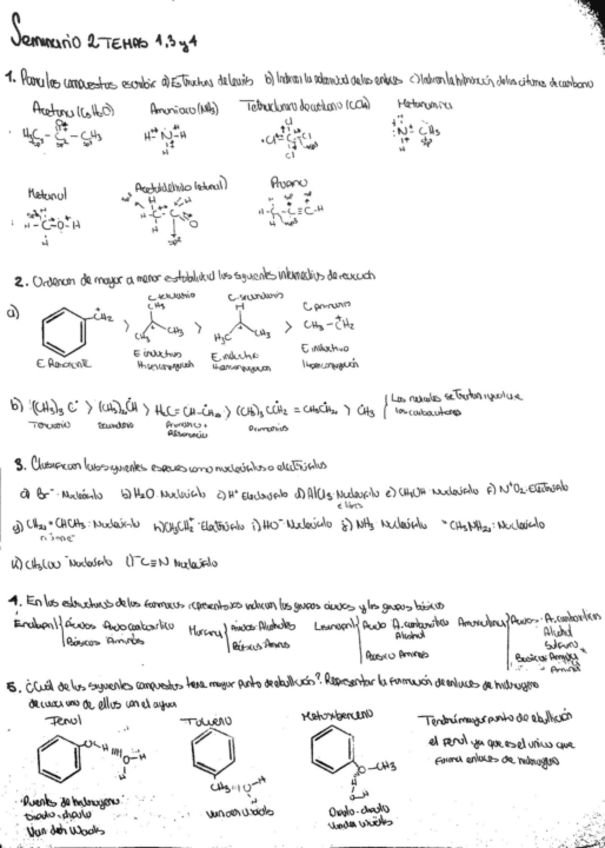 Miniatura del documento Seminario-2-y-3-Temas-1-3-4-5-6-7.pdf