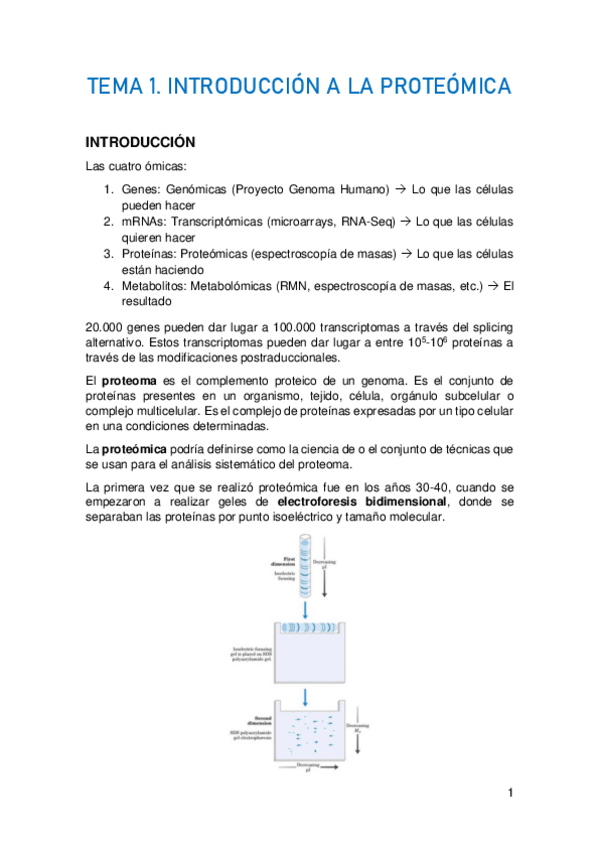 Miniatura del documento TEMA-1.pdf