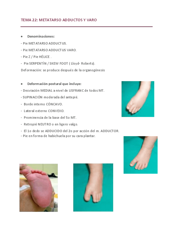 Miniatura del documento T22-T13-T17-T23-T19-T24-Orto.pdf