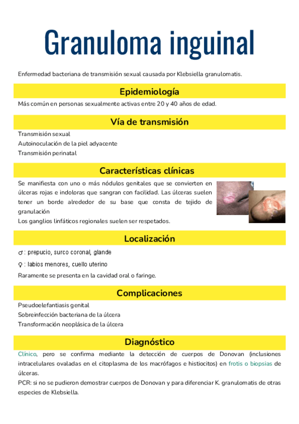 Miniatura del documento Granuloma-inguinal.pdf