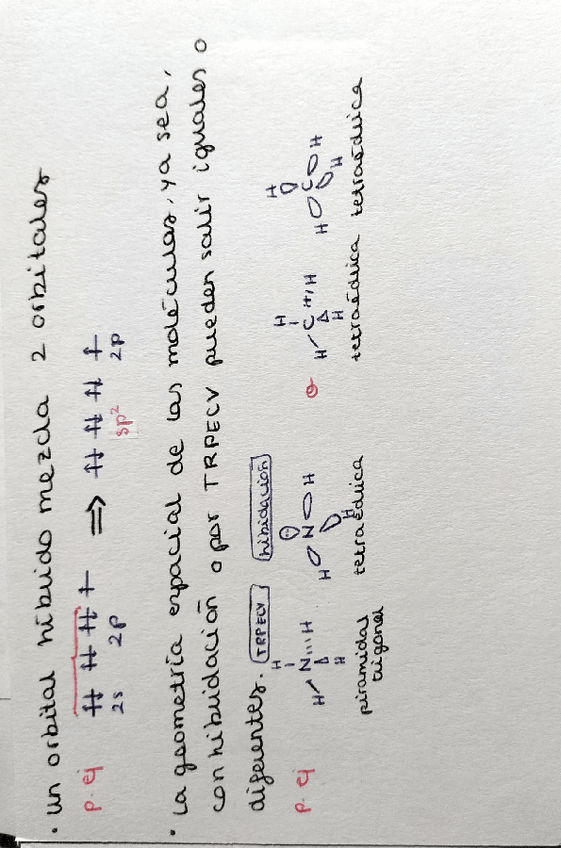 Miniatura del documento Hibridacion-2.pdf