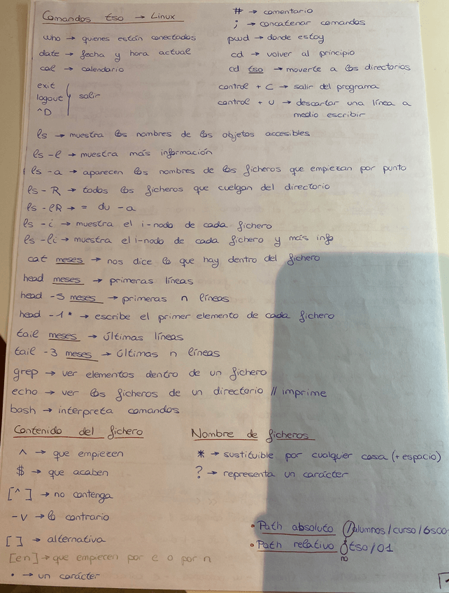 Miniatura del documento pagina-1.pdf