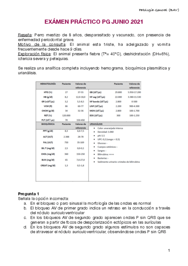 Miniatura del documento Examen-practico-PG-Junio-2021.pdf