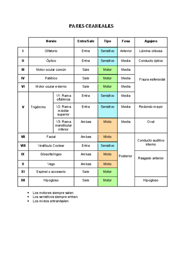 Miniatura del documento Pares-Craneales.pdf